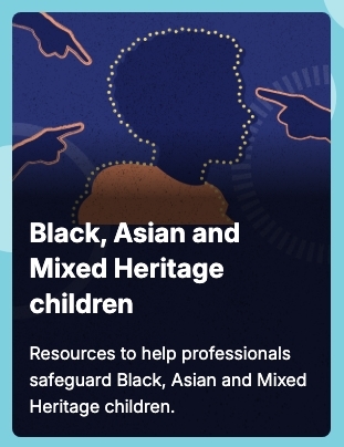National Panel BME image